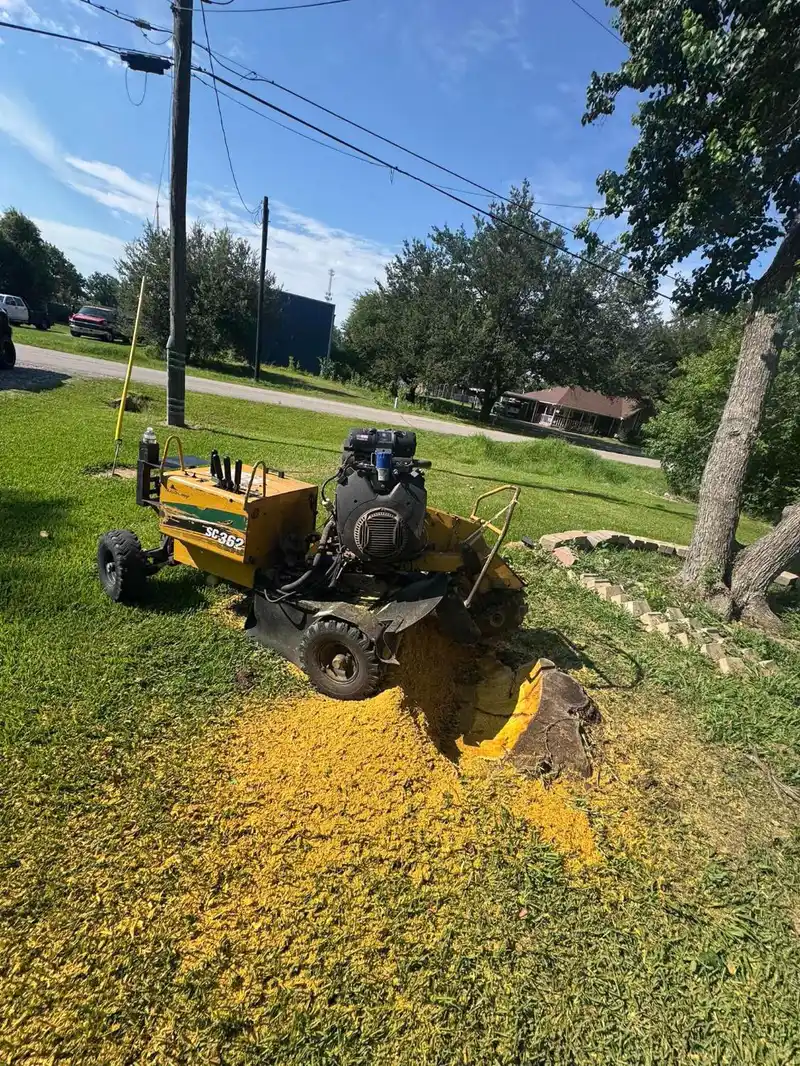 SC362 stump grinder mid-job on a large stump in an open Southeast Houston front yard
