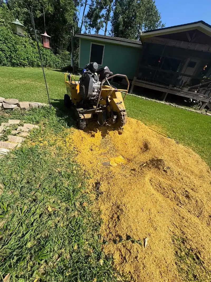 Backyard stump grinding job with a fresh pile of wood chips near a screened porch