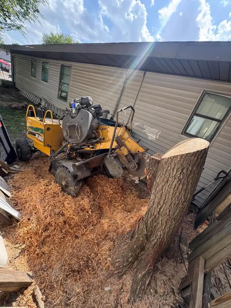 Grinder working a stump directly beside a manufactured home with no damage to the siding