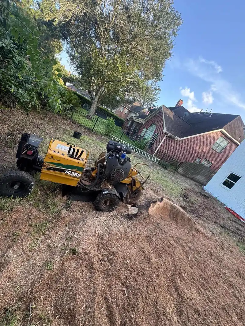 Finished stump grind beside a brick home, freshly mulched and ready for grass