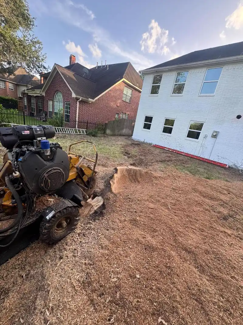 Large mulched clearing after a big stump grinding job behind a two-story brick home