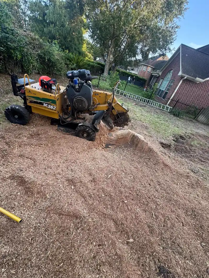 Vermeer SC362 stump grinder actively cutting, sawdust flying, in a Southeast Houston backyard