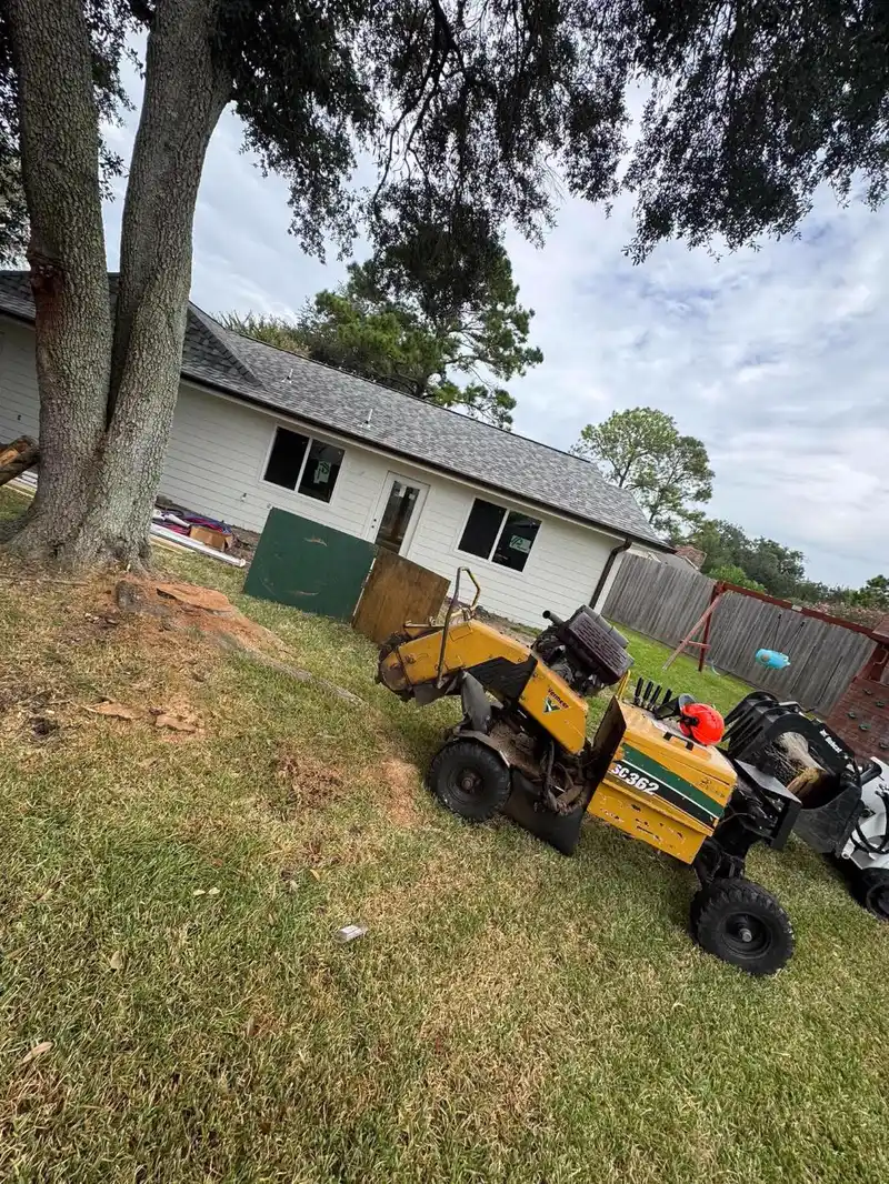 Grinder beside a freshly cut tree base next to a home under renovation